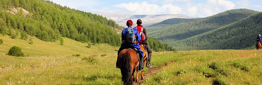 Pferde in der mongolischen Steppe