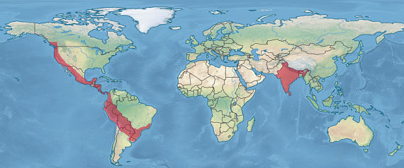 welt_hotspots