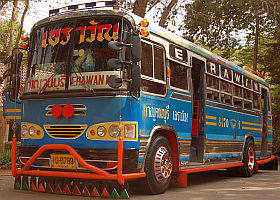 bus