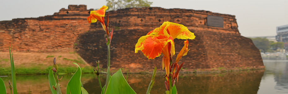 chiangmai_stadtmauer