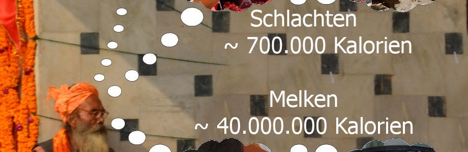 heiligekuh1