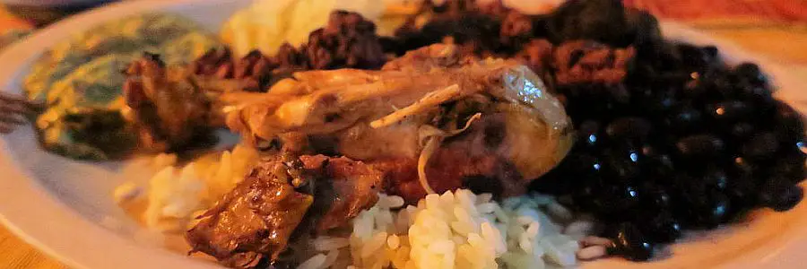 9_pollo_asado