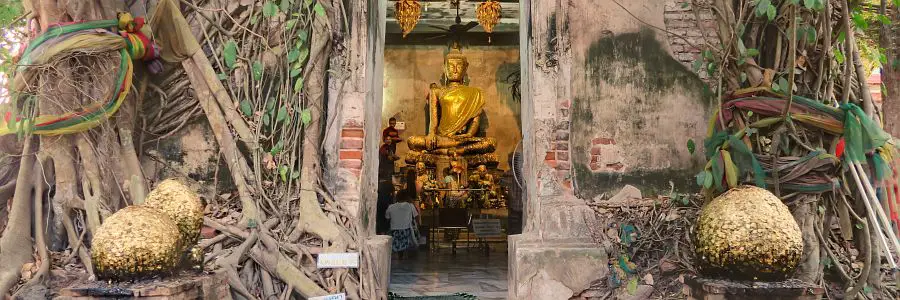 amphawa_treetemple