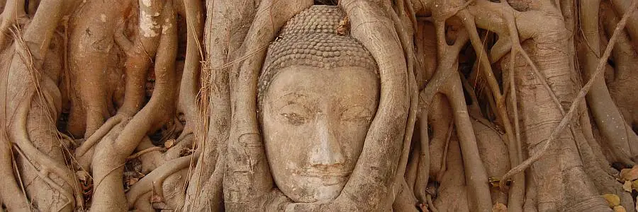 ayutthaya_baumkopf