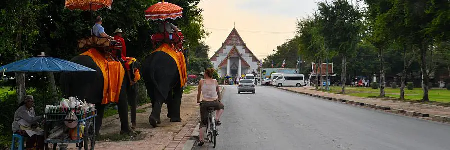 ayutthaya_elefant