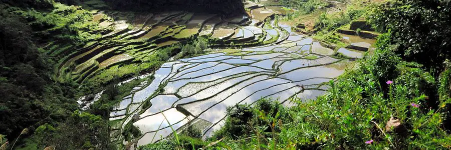 philies_banaue2