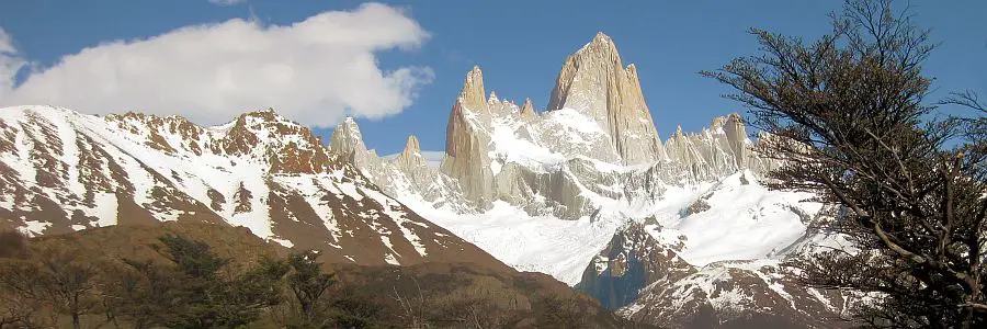 ulmi_torresdelpaine