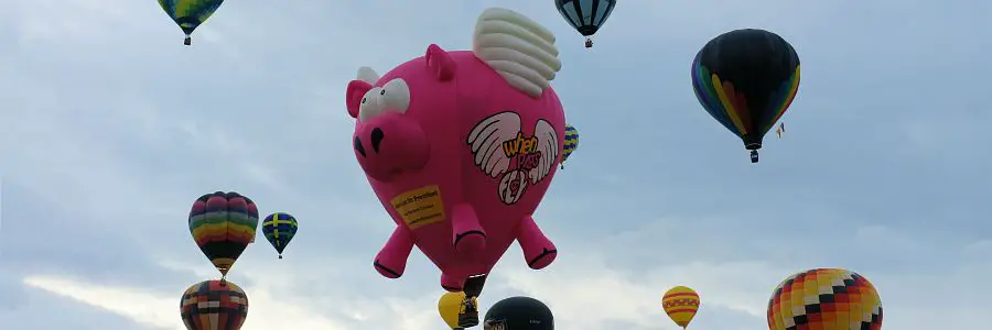 whenpigscanfly