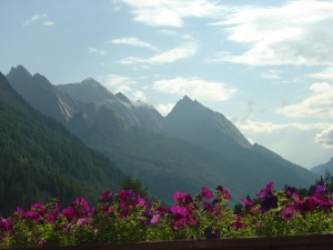 Ausblick vom Balkon