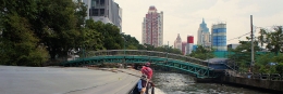 Ertrinkende Kanalkatze in Bangkok, Venedig des Ostens