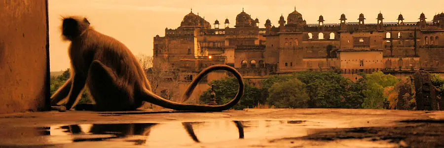 india_orchha