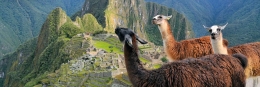 8 Reise-Bildkalender als individuelles Geschenk lamaspicchu1 260x87 - 8 Reise-Bildkalender als individuelles Geschenk