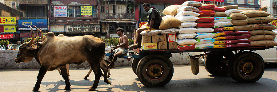 10 Euro – Ein anständiger Tag in Chennai mit Insider-Tipps
