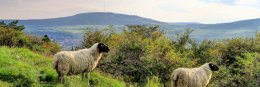 Rhön Urlaub: Tipps von einem Rhöner für Deutschlands Mitte