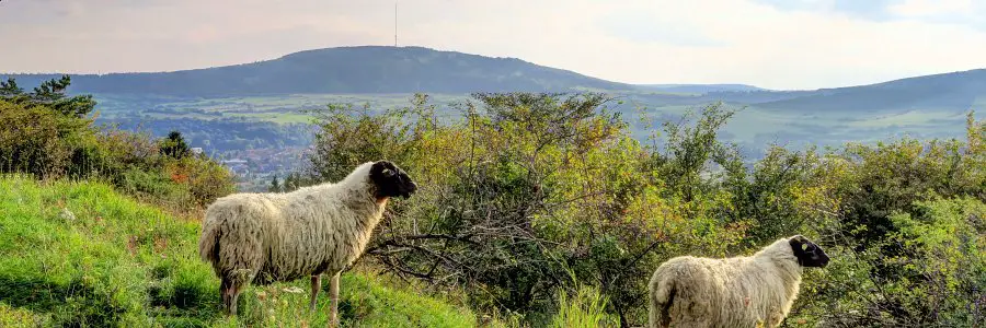 Rhön Urlaub: Tipps von einem Rhöner für Deutschlands Mitte