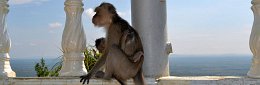 Malerischer Ort in Thailand: Tigerhöhlen Tempel in Krabi