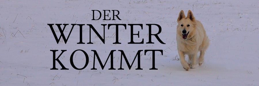 winterkommt